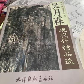 中国近现代名家精品丛书：吴月霖现代竹精品选