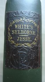 1851年 Natural History of Selborne– 《塞耳彭自然史》全插图古董书 42张精美雕版版画插图善本