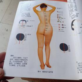 人体全息诊疗大法