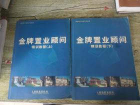 金牌置业顾问 精训教程（上下） 鼎新地产教育丛书