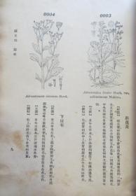 中国植物图鉴 1937年初版 精装厚册 蔡元培题书名（全店满30元包挂刷，满100元包快递，新疆青海西藏港澳台除外）