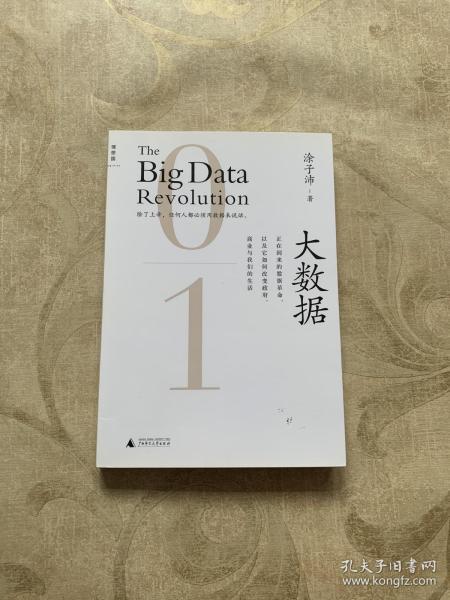 大数据：正在到来的数据革命，以及它如何改变政府、商业与我们的生活