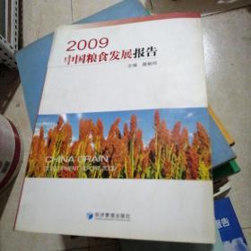 2009中国粮食发展报告