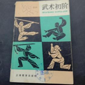 中学生文库  武术初阶