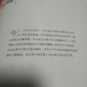 起火的世界：自由市场民主与种族仇恨、全球动荡（第二版）/雅理译丛