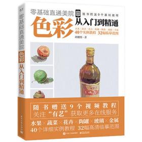 零基础直通美院：色彩从入门到精通（全彩）