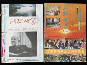 《调研世界》双月刊，1994年1-3、5-6期，1995年1-4、6期，计10期合订本两册合售