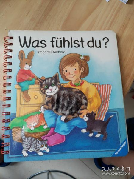 Was fühlst du ?
你感觉如何？德语稀缺绘本