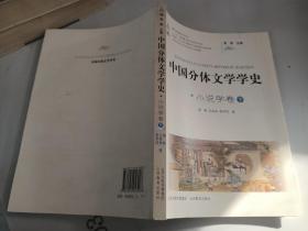 中国分体文学学史. 小说学卷