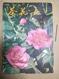 茶花女