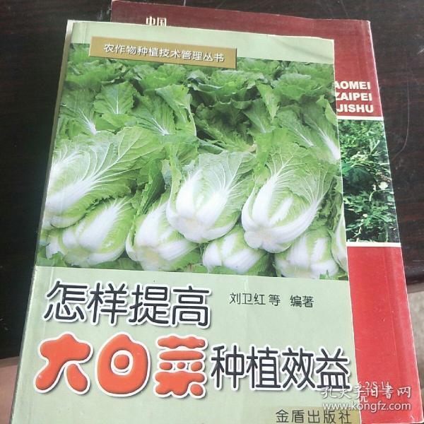 怎样提高大白菜种植效益