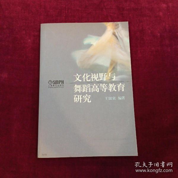 北京舞蹈学院教材：文化视野与舞蹈高等教育研究