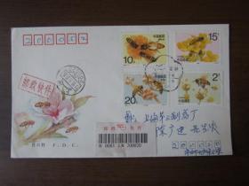 1993-11《蜜蜂》特种邮票首日封首日挂号实寄