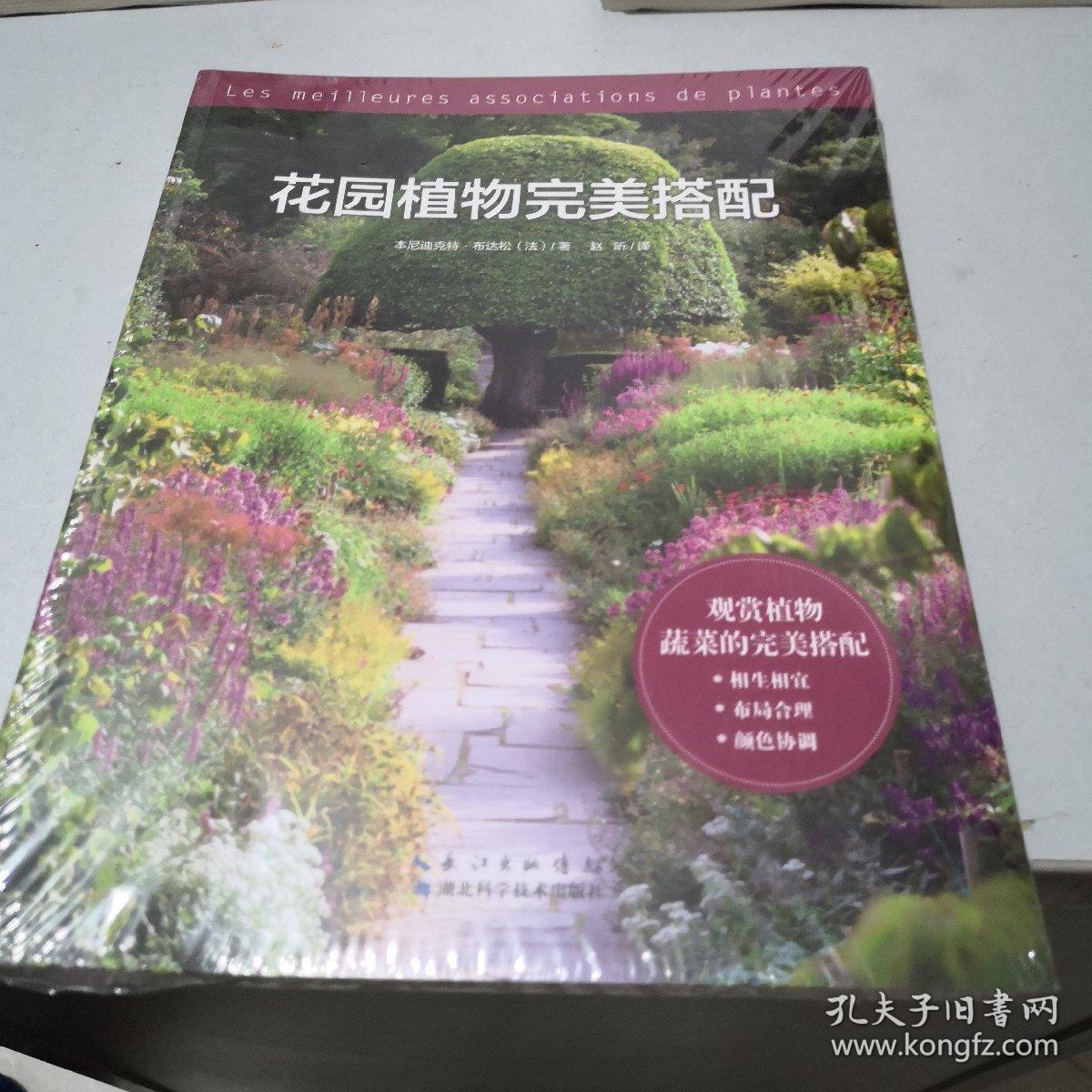 花园植物完美搭配