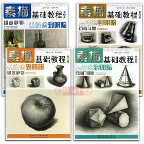 学海轩 共4本 素描基础教程1-4册 从结构到明暗 石膏几何体 单体静物 组合静物 石膏头像 自学绘画书籍美术教材 安徽美术出版社