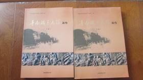 鲁南铁道大队（画传）上下