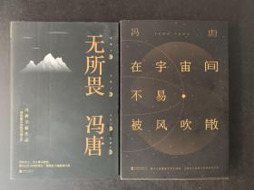 冯唐无所谓/在宇宙间不易被风吹散（新版）