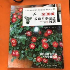 全图解玫瑰月季爆盆技巧