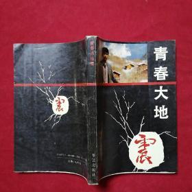 青春大地震