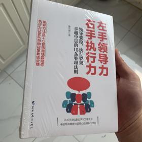 左手领导力 右手执行力：领导要稳执行要狠，优秀中层的15条管理法则