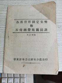 各部骨折固定姿勢(shì)和石膏繃帶范圍圖譜