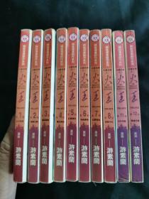 精致漫画创作系列：火王（1.2.3.4.5.6.7.8.11.12）
