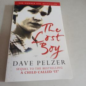 The LOST BOY DAVE PELZER