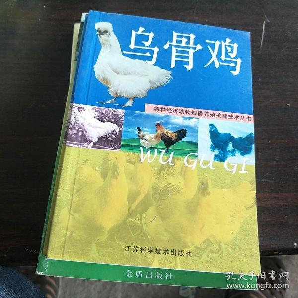 乌骨鸡 特种经济动物规模养殖关键技术丛书