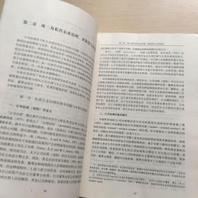 私营企业成长与家族化治理：珠三角的实证与案例研究（内页干净）