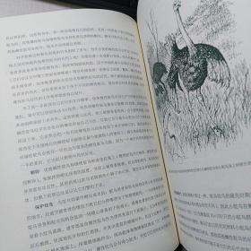 软精装本：《动物的秘密语言》【正版现货，无写无划】