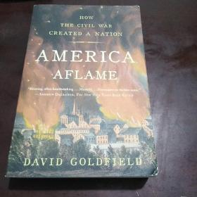 America Aflame: How the Civil War Created a Nation