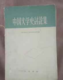 中国文学史讨论集