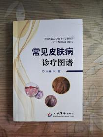 常见皮肤病诊疗图谱 人民军医出版社 皮肤病常见病临床诊断与鉴别 配有200多幅插图 中医辨证论治 单方验方方法 中西医治疗皮肤病