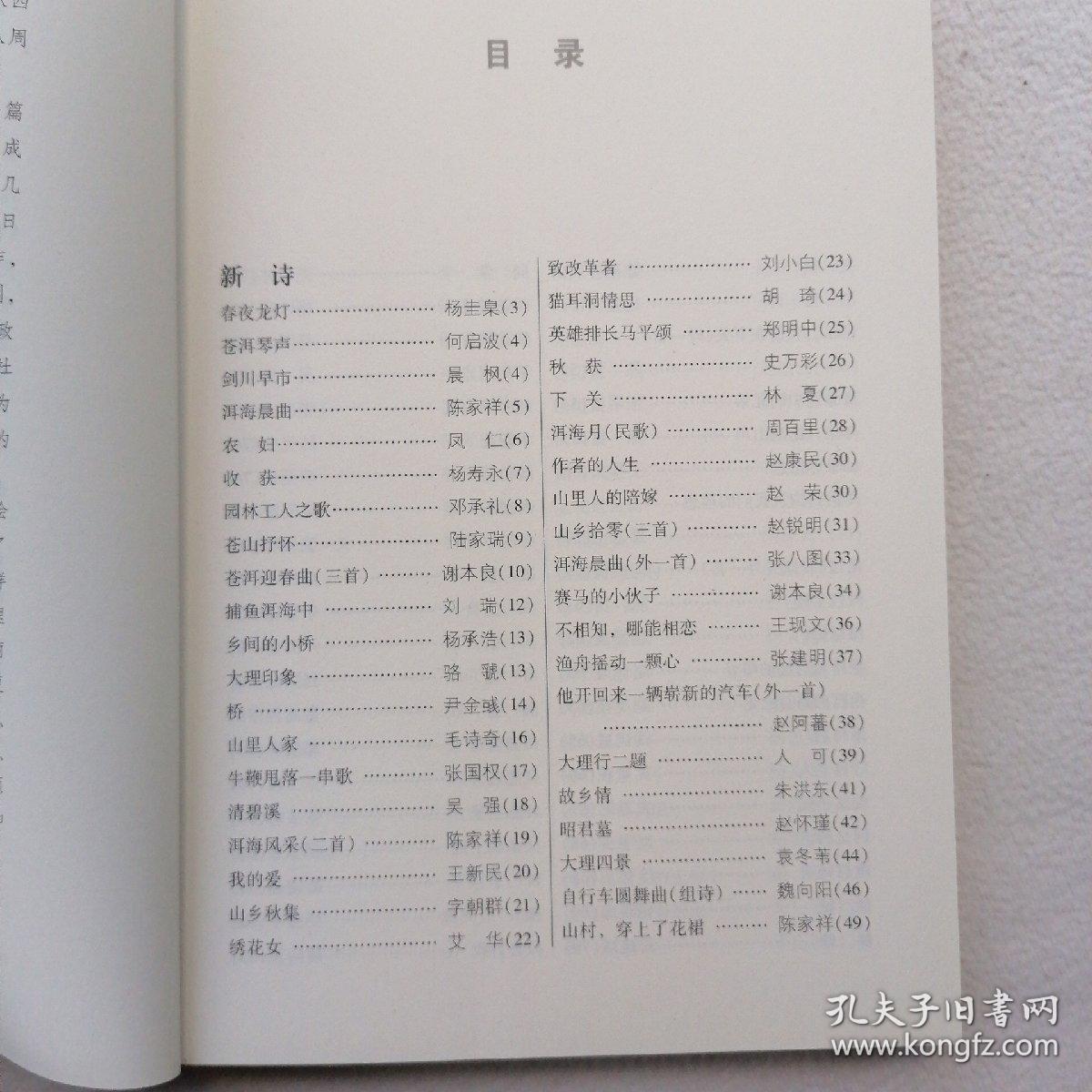 大理日报丛书：诗歌选（1982-2012）