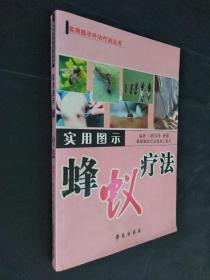 实用图示蜂蚁疗法