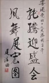 《将军篇》迟浩田书法作品，上将军衔，为党的十九大胜利召开而写z.1734