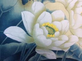 752h张杰《荷花》工笔画，立轴原裱