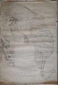 80年代临摹的老虎图绘画底稿15
