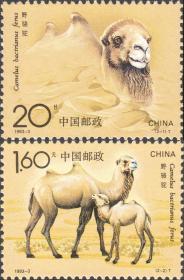 新中国邮票：1993-3T野骆驼邮票(全套2枚)