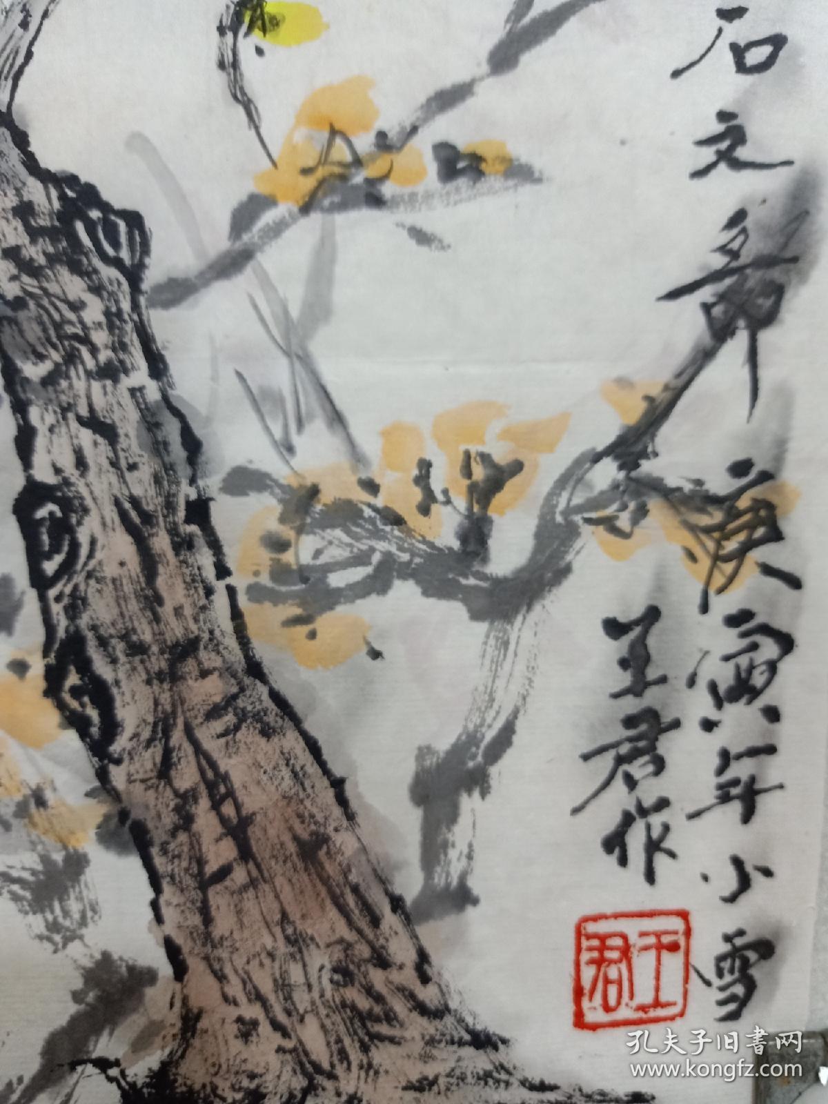 王君，1963年出生，山东日照(五莲县)人，现居广州，职业画家。珠江书画院副院长，世界华商协会书画院副院长，中国书画协会理事;古今通宝拍卖行签约画家;国际华人交流协会顾问;大中国画院特约画家。花城国艺馆馆长。