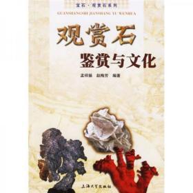 观赏石鉴赏与文化   上海大学出版社