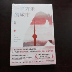一平方米的城市