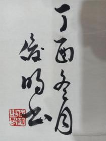 马俊明，男，文化部乡土协产业部特聘书画家，著名爱心慈善书法家，中国书协会员，中国黄河书画创作院常务院长，河南广播电视台《兰艺访谈》栏目艺术顾问，《一路有爱》栏目文化顾问，河南省炎黄书画院副院长，真迹中国书画院常务院长，《慈善公益报》爱心艺术家，河南省中州文博书画院副院长兼秘书长，河南民促会书画院副院长，郑州升达经贸管理学院特聘书法顾问，郑州工业应用技术学院特聘客座教授。