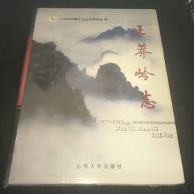 王莽岭志