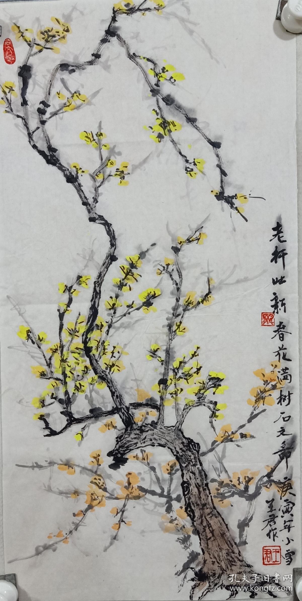 王君，1963年出生，山东日照(五莲县)人，现居广州，职业画家。珠江书画院副院长，世界华商协会书画院副院长，中国书画协会理事;古今通宝拍卖行签约画家;国际华人交流协会顾问;大中国画院特约画家。花城国艺馆馆长。