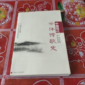 中国现代分体诗歌史