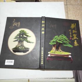 荆州盆景(全彩图)大16开精装本