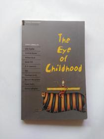 The Eye of Childhood  (馆藏书，无字迹划线)