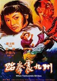 跆拳震九州 (1973)   DVD