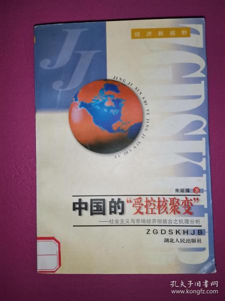 中国的“受控核聚变”:社会主义与市场经济相结合之机理分析